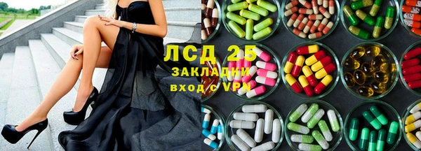 шишки Алексин