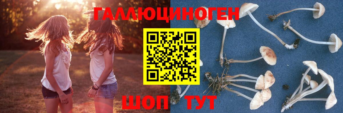 Галлюциногенные грибы ЛСД  сколько стоит  Псилоцибиновые грибы прущие грибы  Домодедово  Вход с VPN 